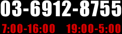 TEL 03-6912-8755